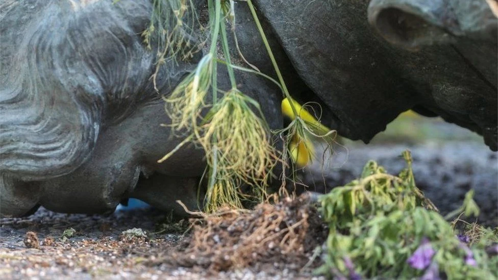 Raste bijes u Kanadi, srušeni kipovi kraljice Viktorije i Elizabete II