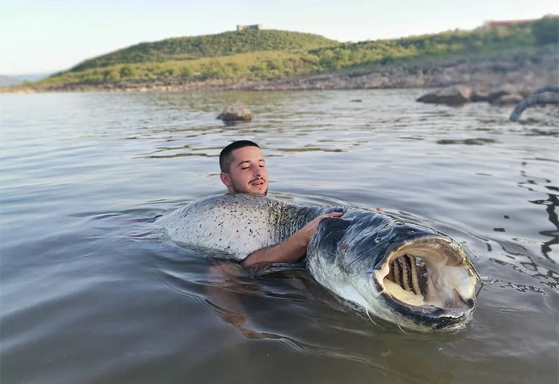 Hercegovac ulovio soma dugog 2,16 metara i teškog 60 kilograma