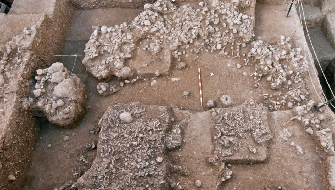 Neandertalci nemaju čisto europsko porijeklo