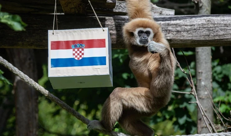 Kent prognozirao pobjedu Hrvatske nad Škotskom