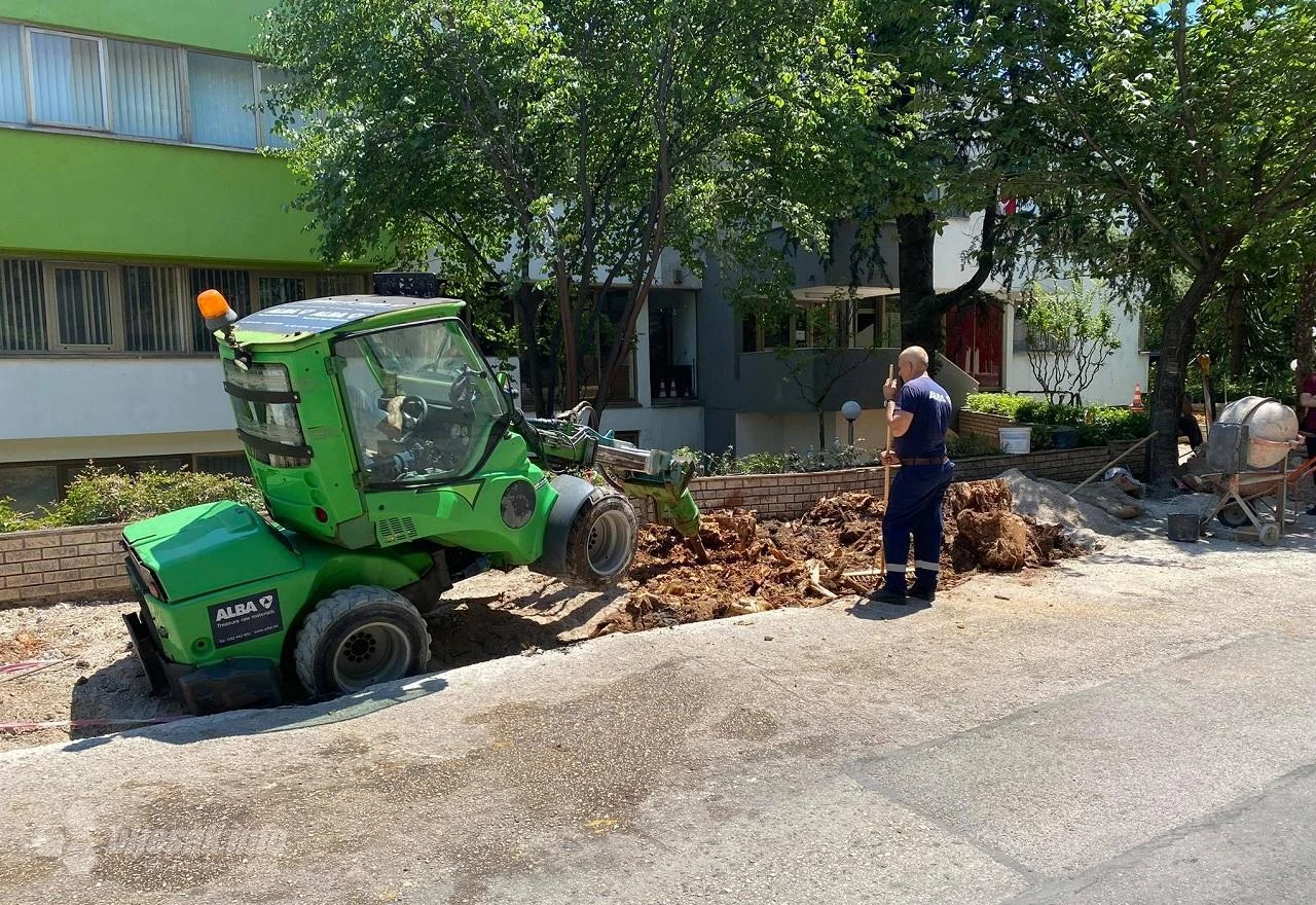 VIDEO | Mostar: Specijalni stroj uklonio panjeve topola u Zagrebačkoj