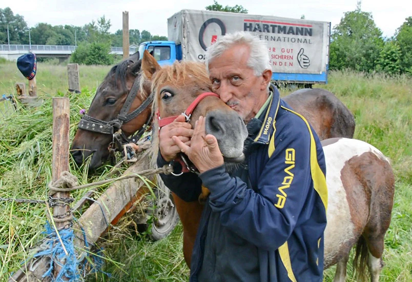Nema ga BiH da voli hajvana više od mene
