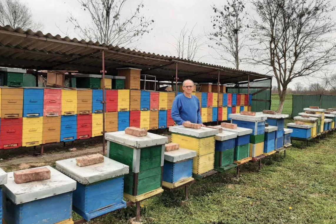 Bagrem, tema novog broja časopisa Pčela