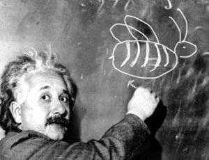 Što je Einstein govorio o pčelama?