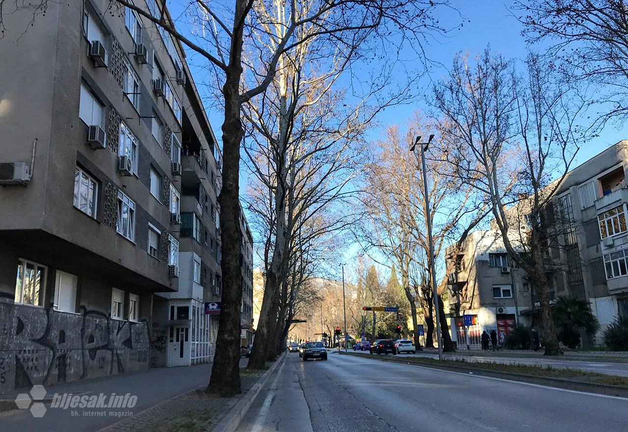 U subotu uklanjanje oštećenih stabala na mostarskoj aveniji