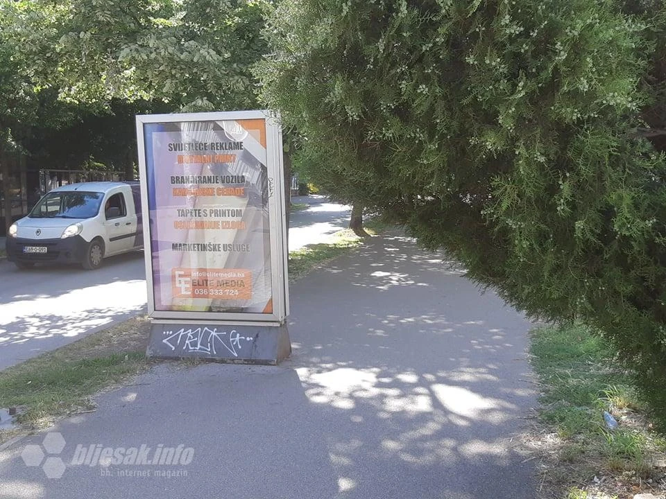 Džungla na asfaltu