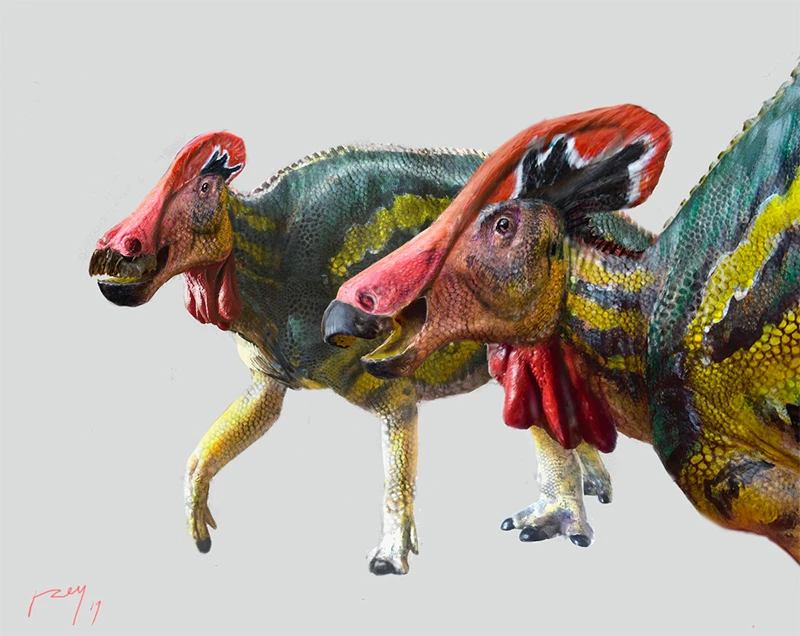 Tlatolophus galorum – zvijer stara 72 milijuna godina