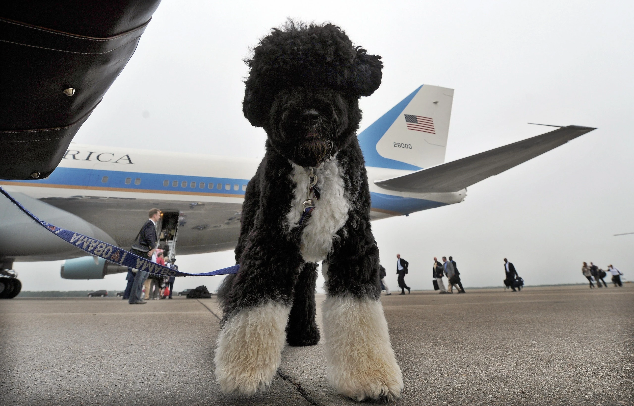 Obama izgubio pravog prijatelja i odanog pratioca