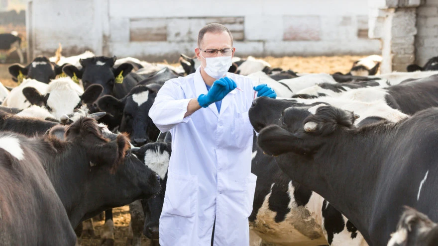 Vlada FBiH za veterinarstvo izdvojila 2.500.000 KM