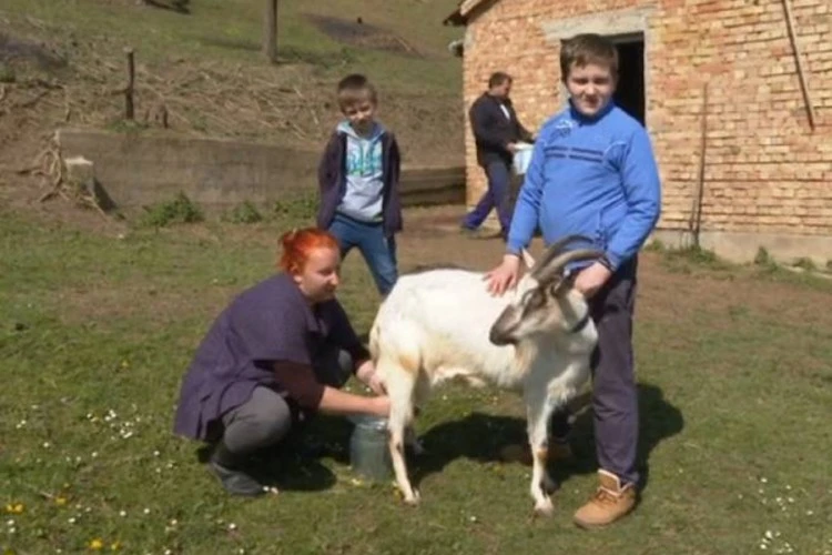 Ne odlaze svi u Njemačku: Bračni par se vratio u BiH i osnovali gazdinstvo