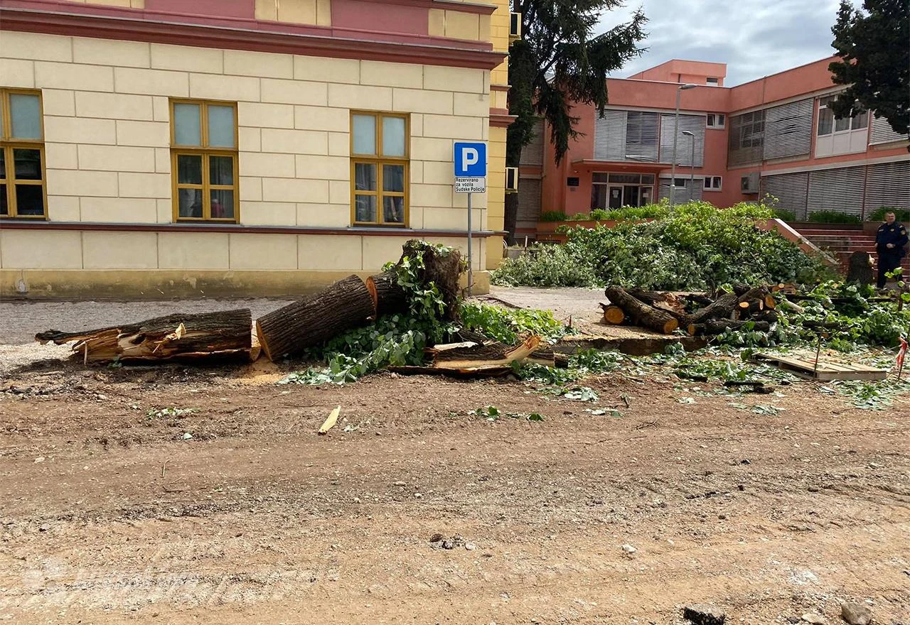Mostarci, sjećate se stabala ispred Tužiteljstava? Nema ih više!