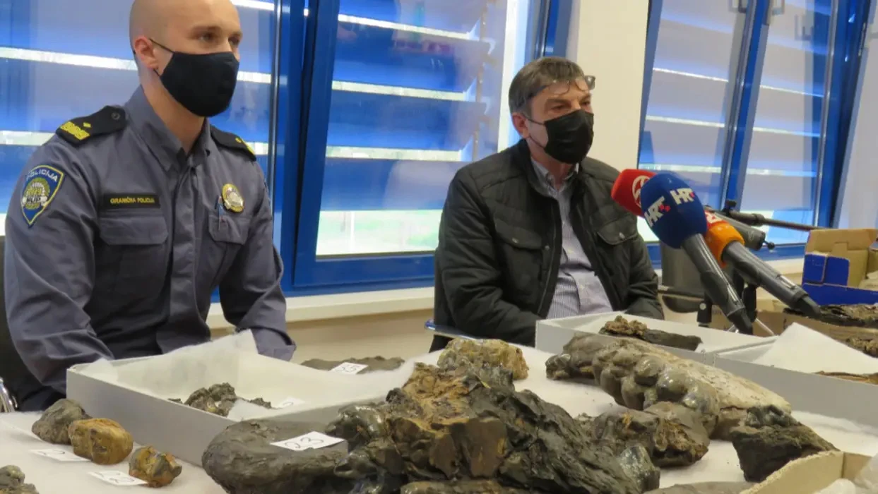 Na granici uhvatili muškarca s vrijednim fosilima praslona porijeklom iz BiH