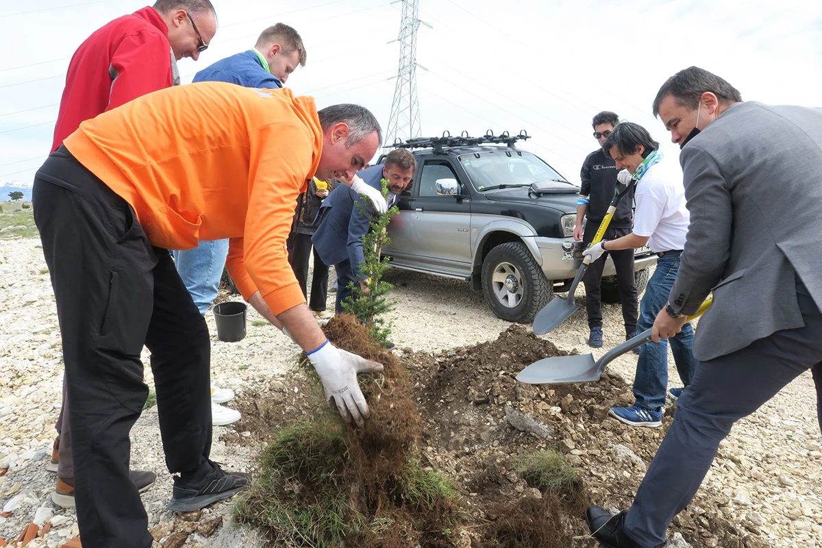 Fortica: Posađeno prvih deset od tisuću planiranih stabala