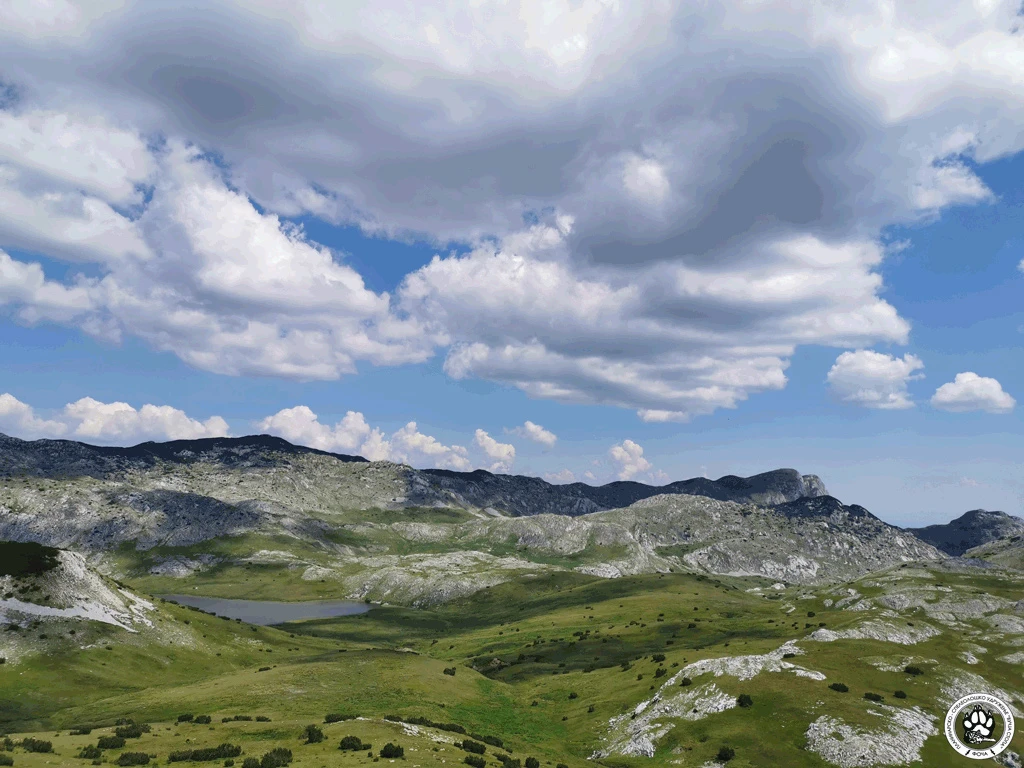 Bez odgovornog odnosa prema prirodi nema zdravlja  