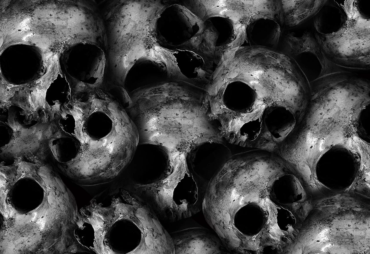 Mrtvi su mrtvi: Teorija i praksa negiranja genocida