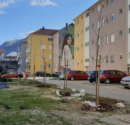 Mostar: Posađene sadnice krupnolisne lipe