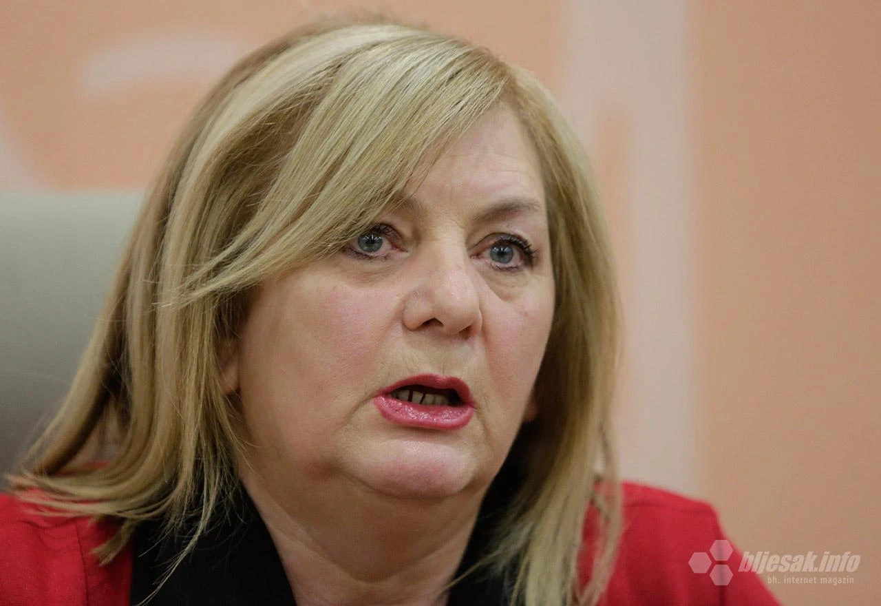 Optužnica, sakrivanje, potpisi: Savjetnica ne vidi argumente za napade