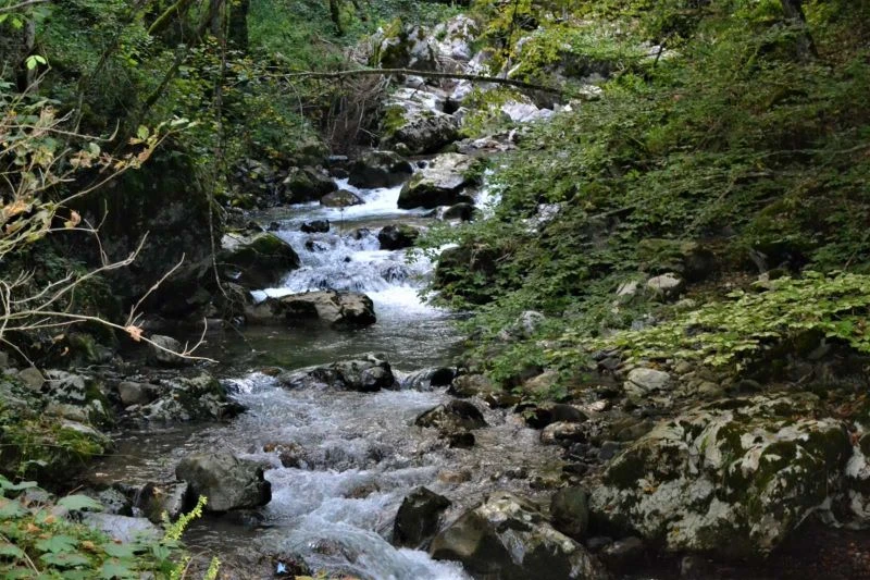 Neka svaki dan bude dan akcije za rijeke