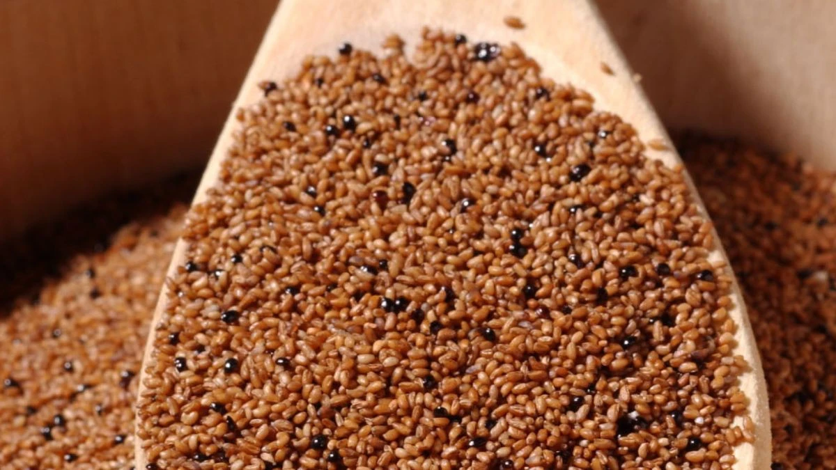 Najmanja žitarica na svijetu s najvećim nutritivnim vrijednostim