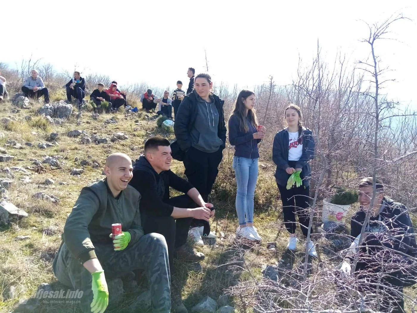 Pošumljavanje brda iznad naselja Semetovac i Livač