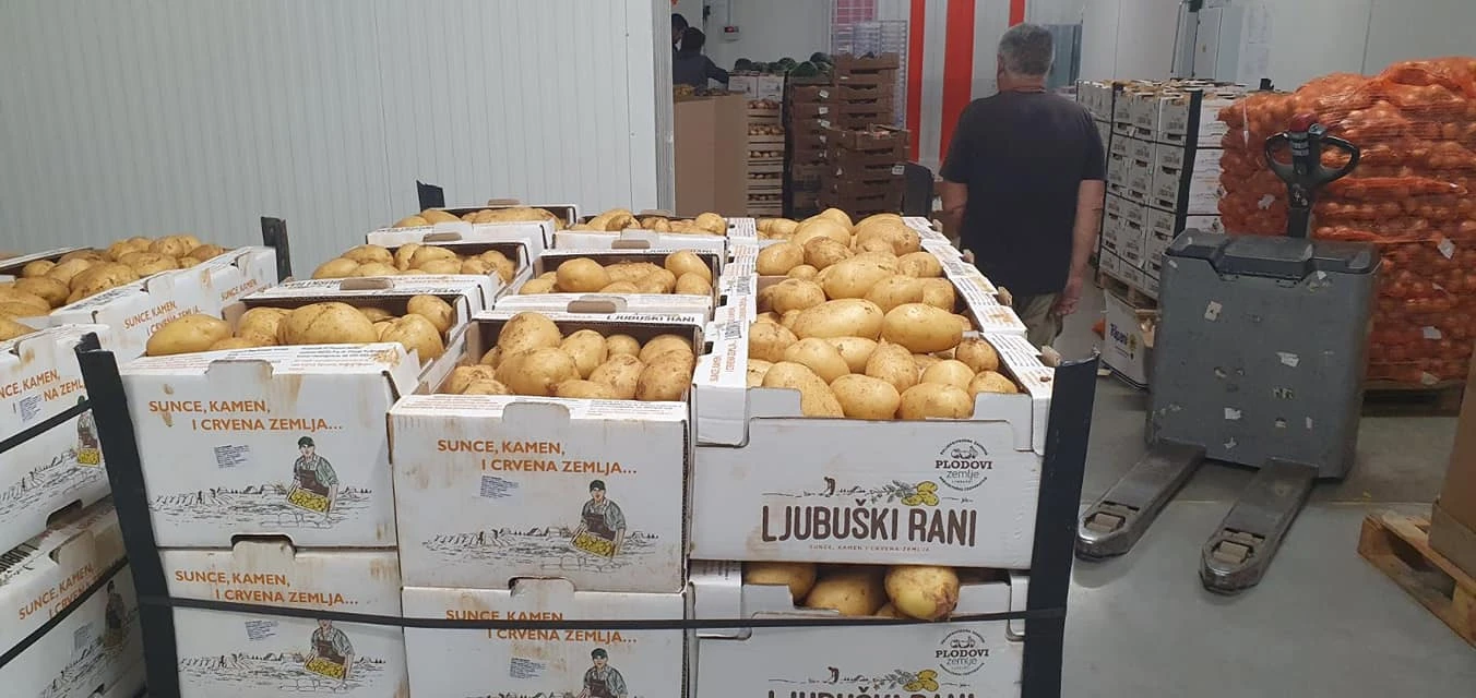 Sadnja ''Ljubuškog ranog'' u punom jeku: Distributivni centar kreće s radom ove godine