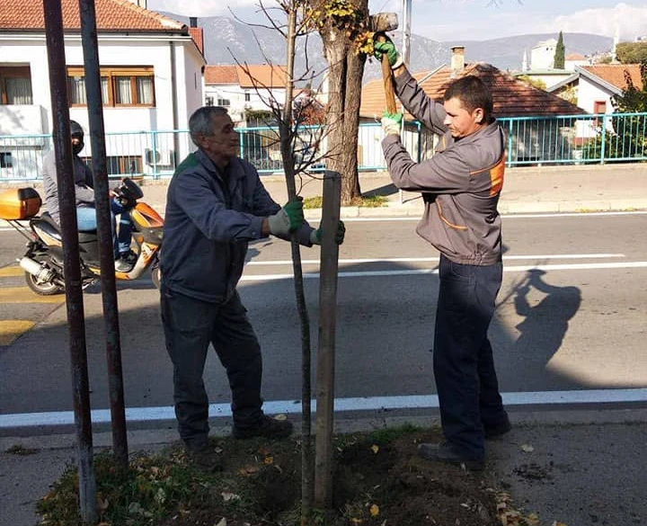 Nove sadnice u Mostaru