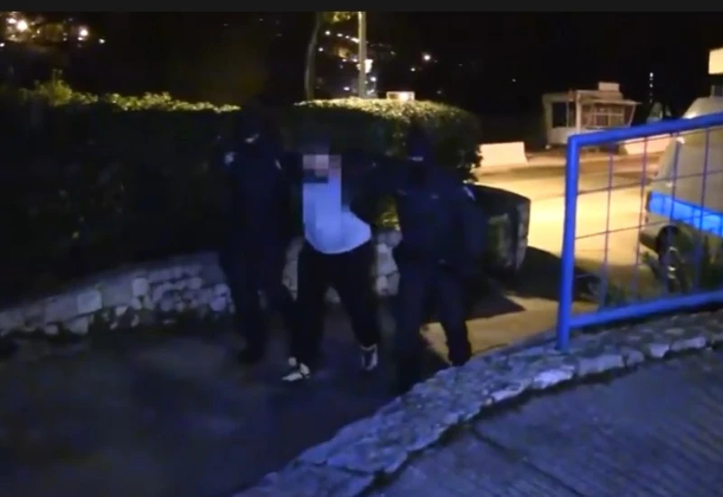 Carinik iz Ploča dio lanca preprodaje kokaina