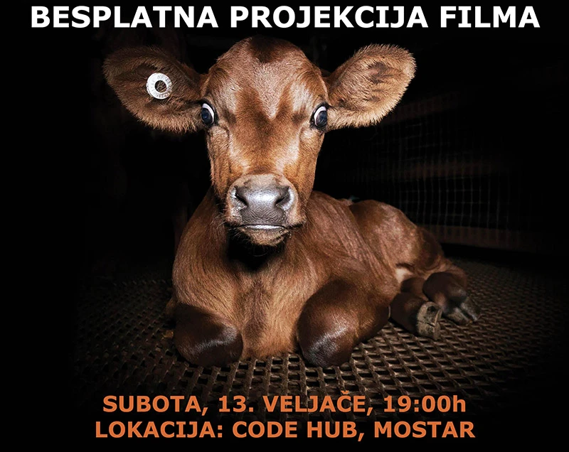 Anima vas poziva na besplatnu projekciju filma 'Dominion'