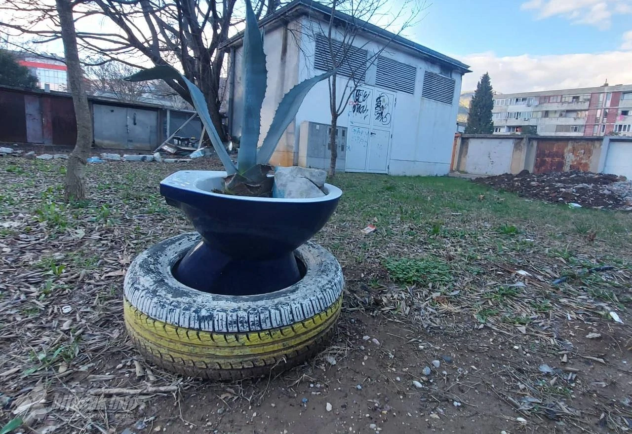 Umjetnička instalacija u Mostaru: Kaktus u WC školjki