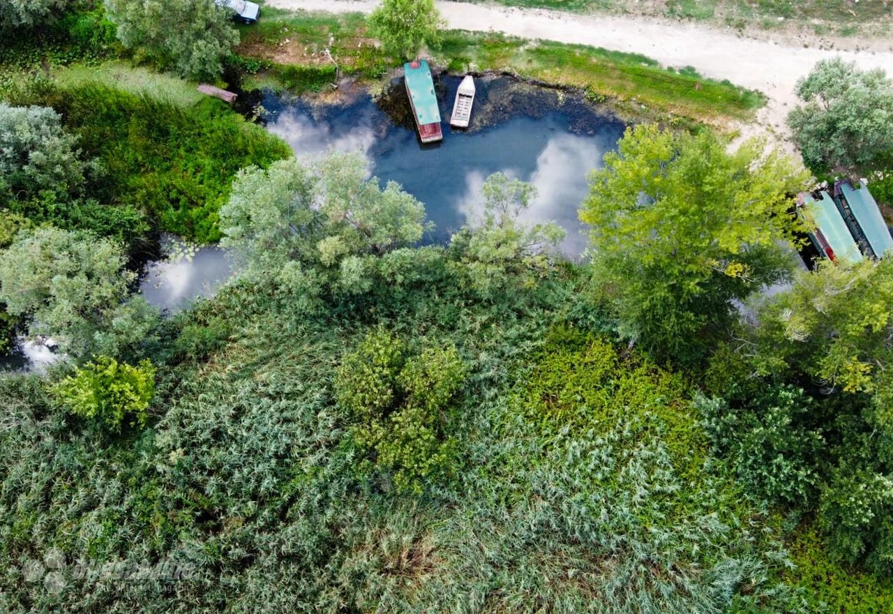 Nijedna močvara u BiH nema plan upravljanja