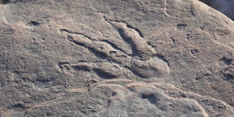 Četverogodišnja djevojčica pronašla otisak stopala dinosaura