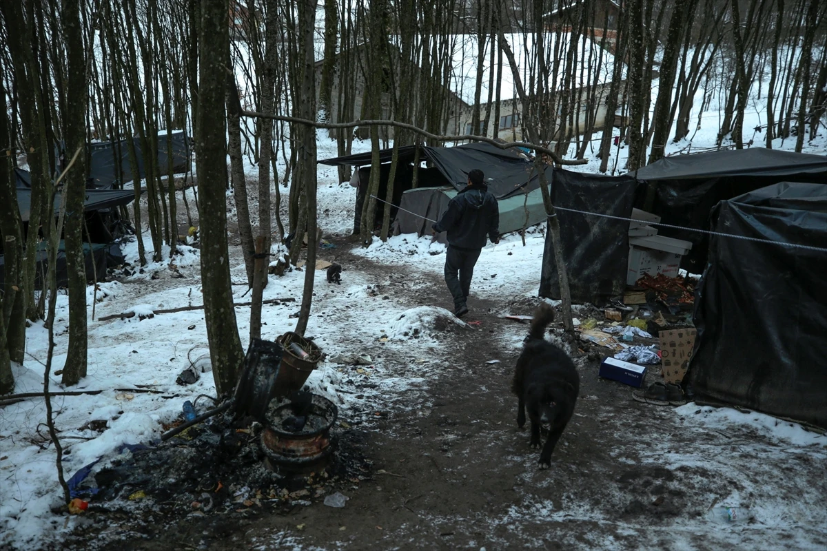 OSCE BiH: Donijeti održiva rješenja za migrantsku i humanitarnu krizu u porastu