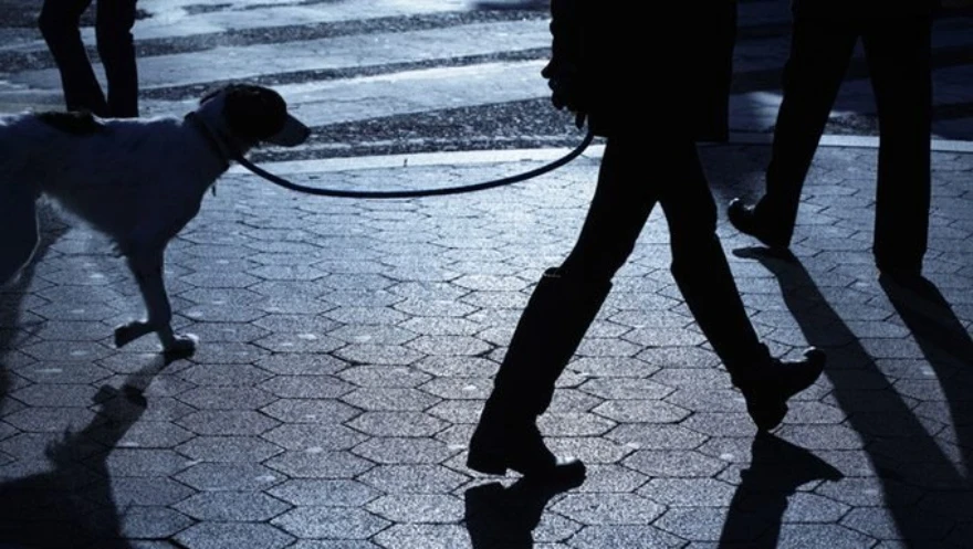 Nizozemci šetnjom pasa zaobilaze policijski sat