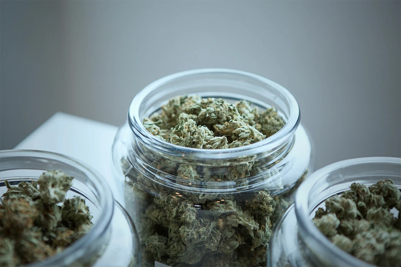 Marihuana treba još mišljenja prije legalizacije u BiH
