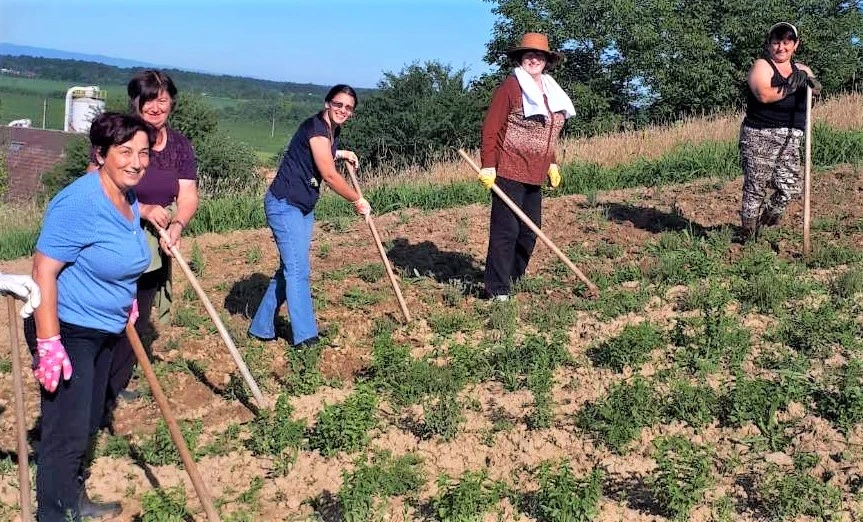 Žene iz sjeverne BiH počinju obrađivati ljekovito bilje na komercijalnoj osnovi