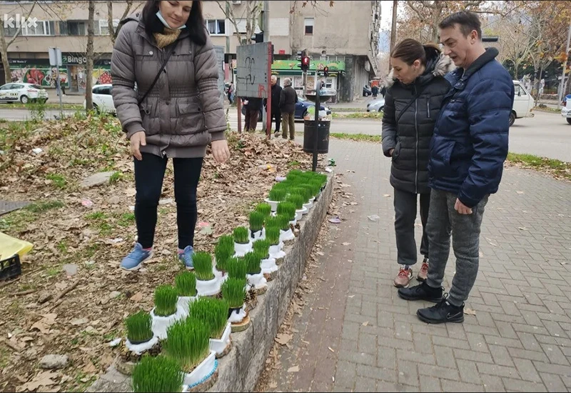 Pšenica neizostavan detalj na trpezi, ali i prilika za zaradu