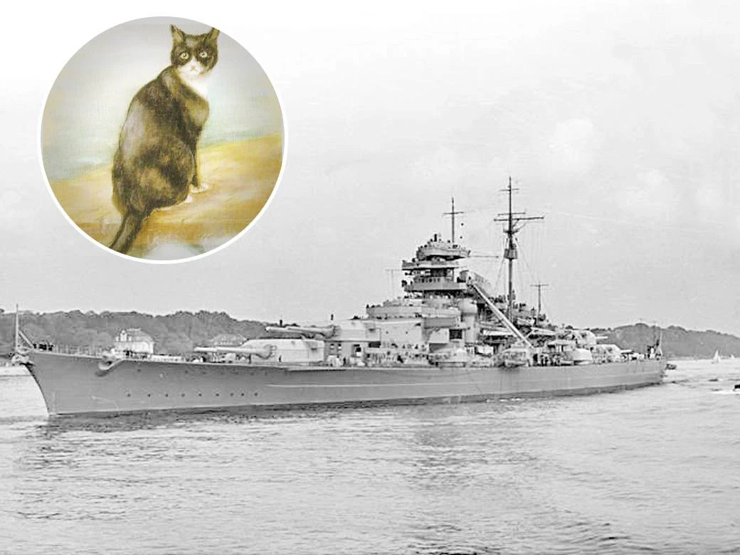 Unsinkable Sam - Postojao je mačak s devet života?