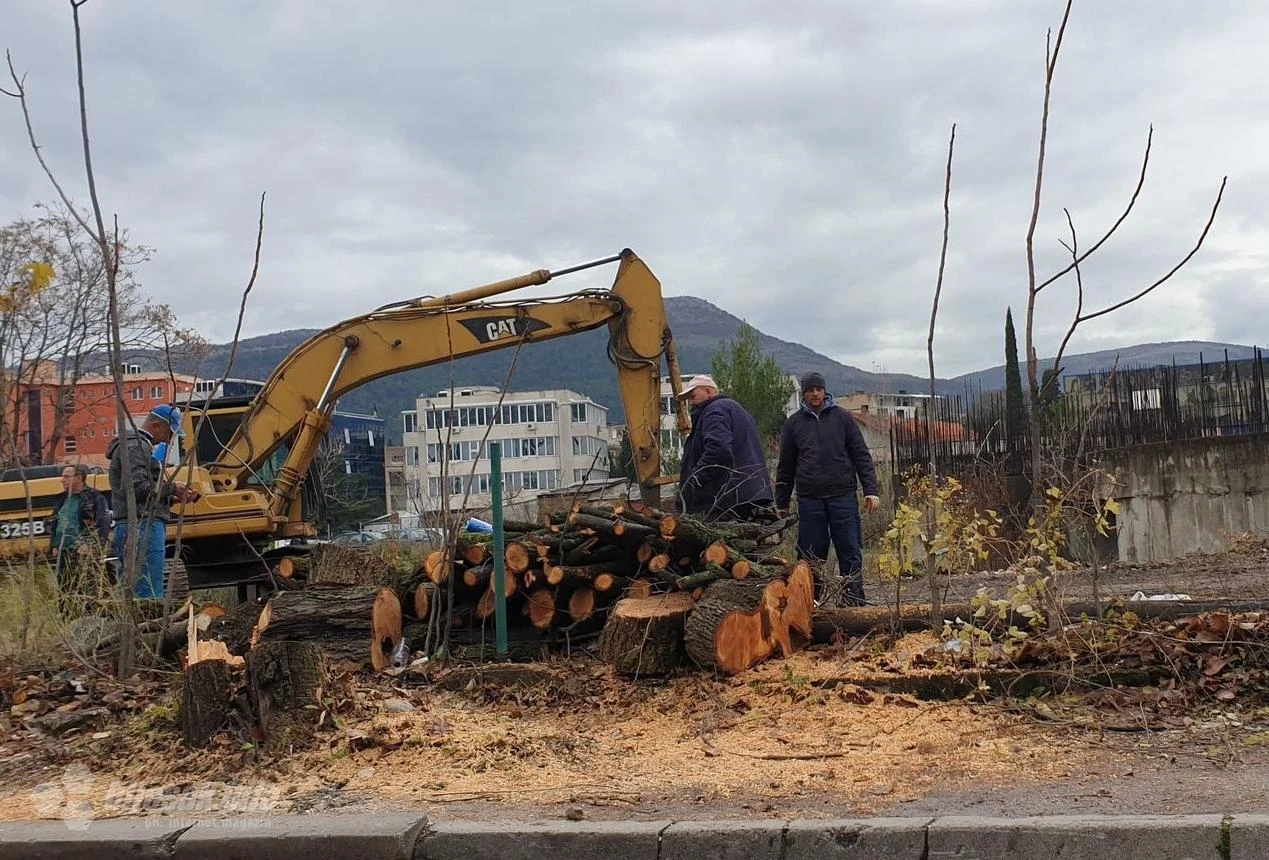 Mostar: Zbog izgradnje prometnih traka posječena stabla