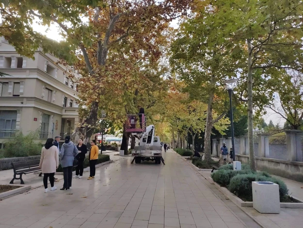 Uređivanje stabala na Šetnici