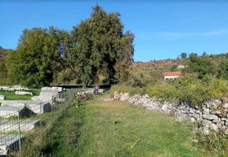 Pronađena četiri nova stećka na nekropoli Boljuni-Stolac