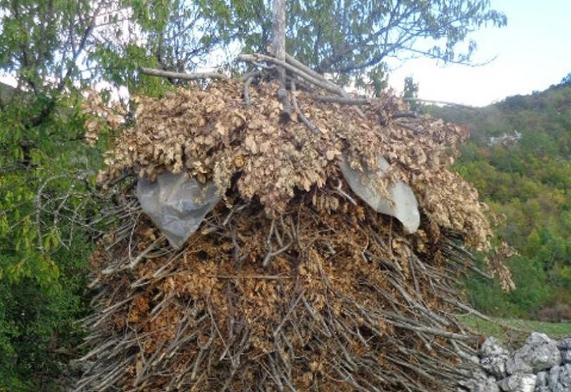Stočari su pripremili lisnike