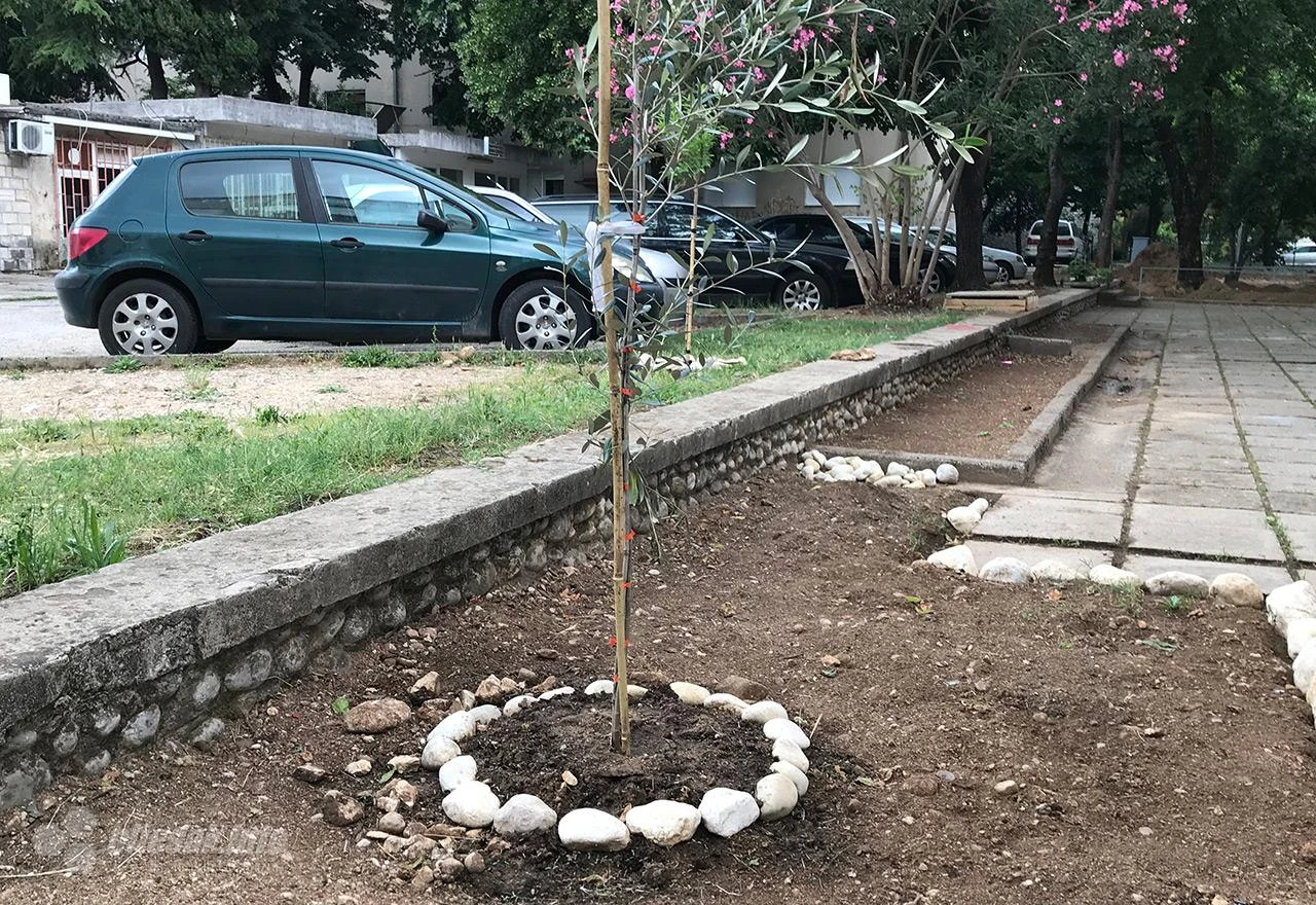Tko u mostarskim naseljima održava zelene površine?