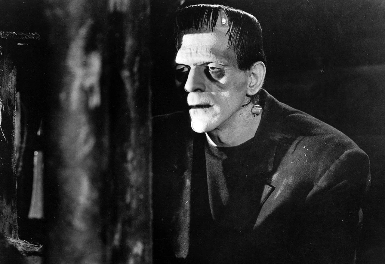 "Frankenstien zakon" u BiH - puno želi, malo nudi