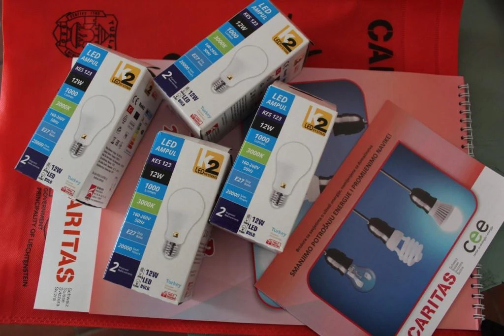 Domaćinstvima podijeljeno 40.000 LED sijalica