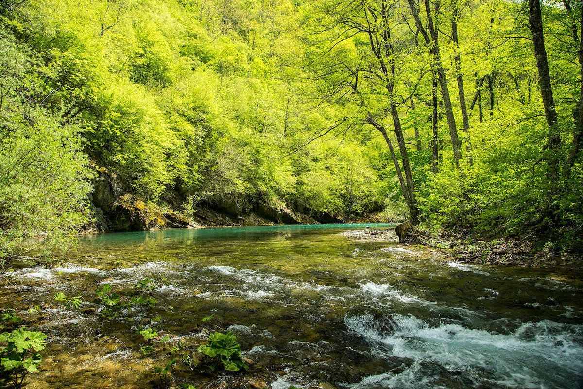 Podnesena žalba zbog planiranih HE i MHE na Neretvi