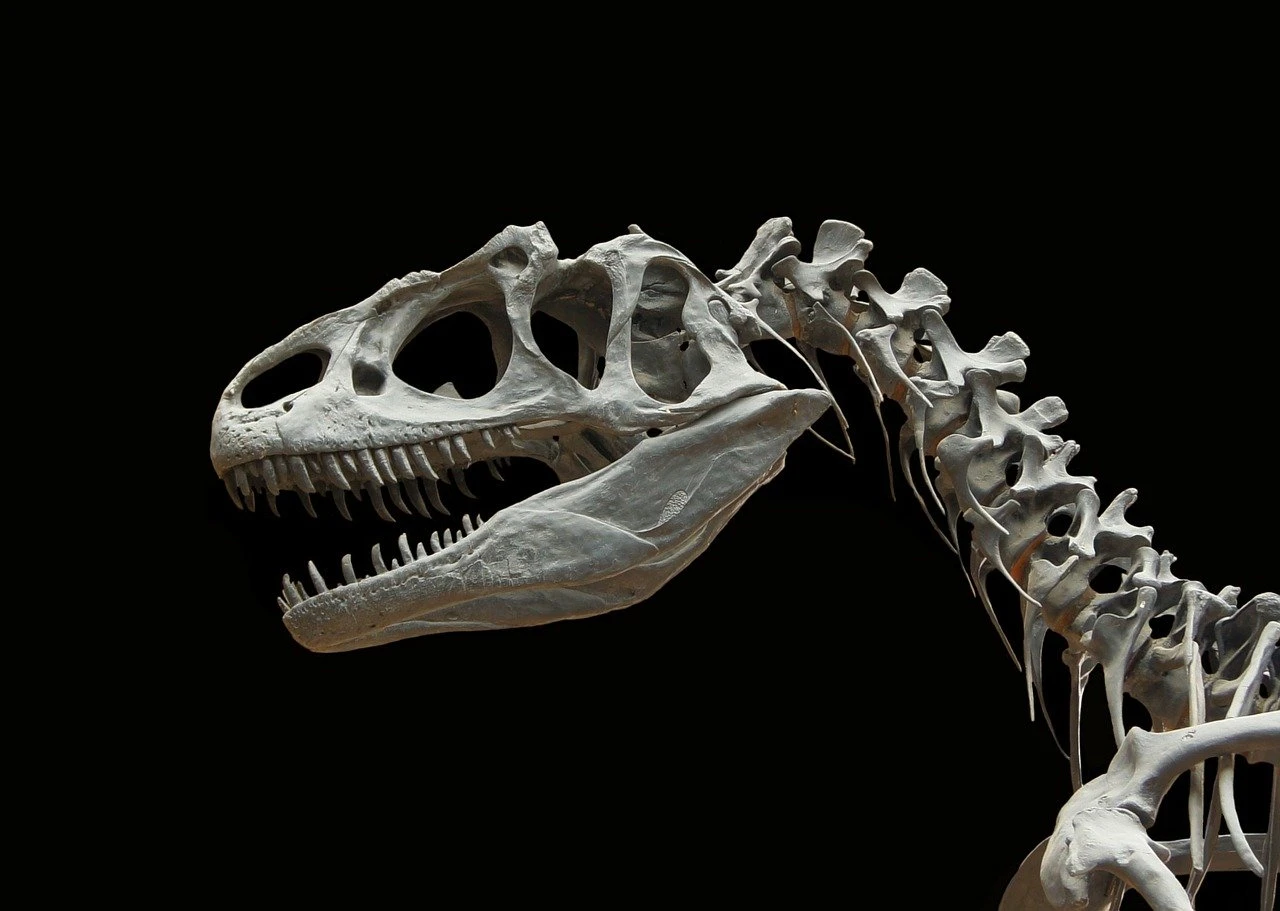 Skelet dinosaura prodan za 27,5 milijuna dolara