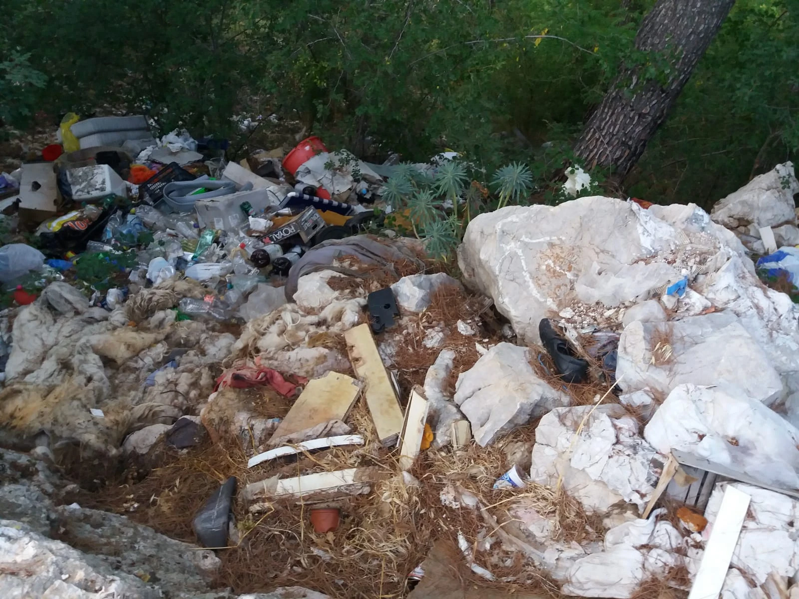 Đapo zaboravila smeće pa se sjetila turizma