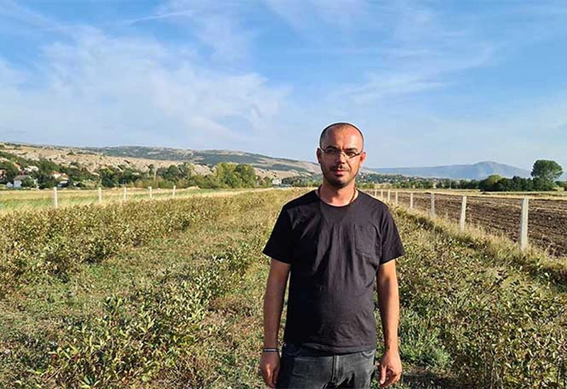 Priča o Mačku: Od građevine do aronije