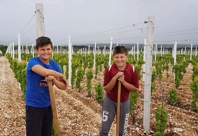 Povijesni uspjeh hercegovačke vinarije na najvećem svjetskom vinskom natjecanju