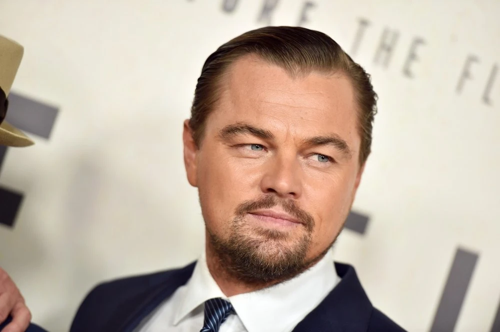 Leondardo DiCaprio protiv Vlade FBiH